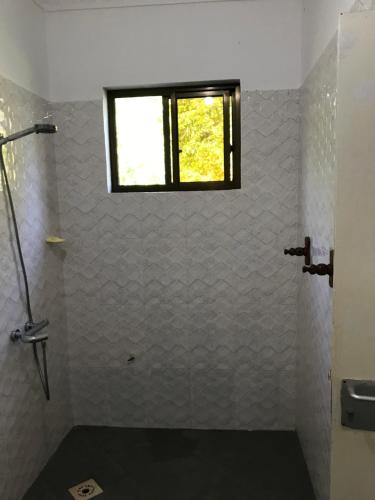 Tayana place